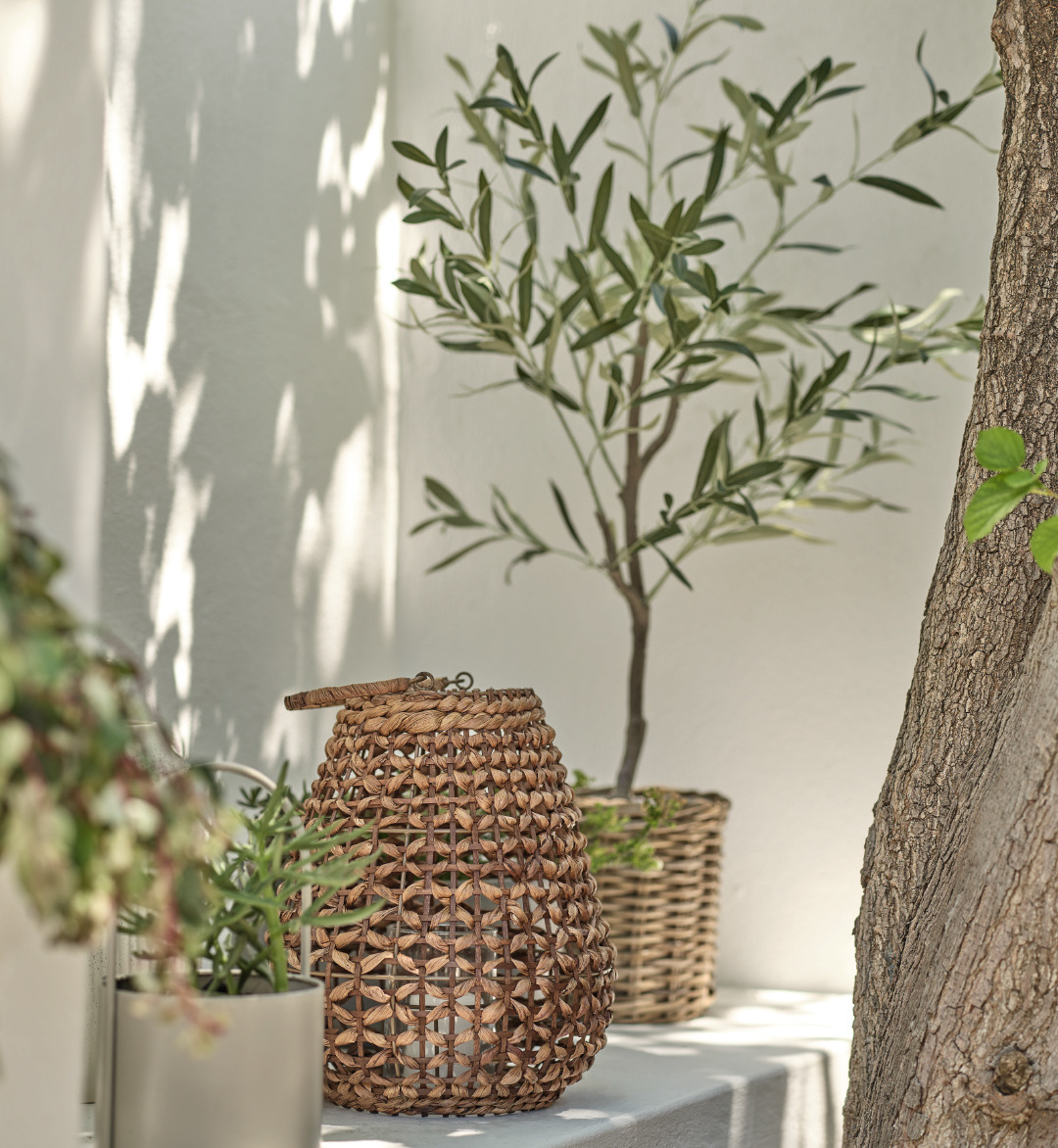 Ліхтар ROVTERN та штучна рослина HAVHEST створюють атмосферу затишку й гармонії у вашому дворику.